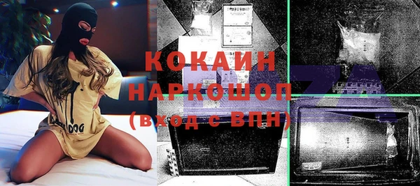 гашик Арсеньев