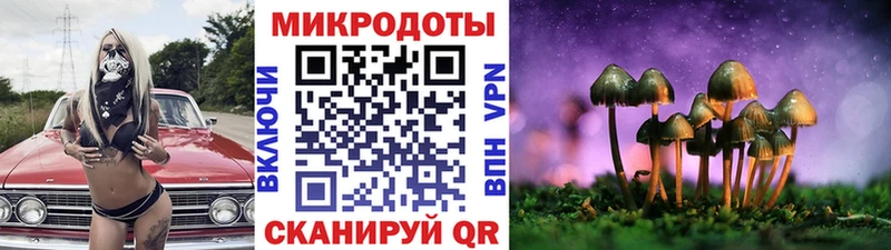 Галлюциногенные грибы MAGIC MUSHROOMS  blacksprut tor  Гудермес  где можно купить наркотик 